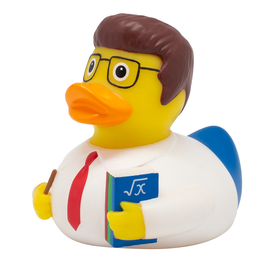 Schoolmaster Duck