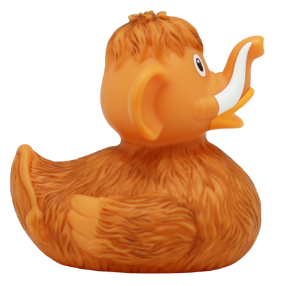 Canard Mammouth