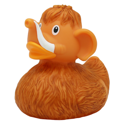 Canard Mammouth