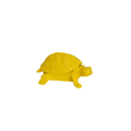 Schildpaddoos - Geel