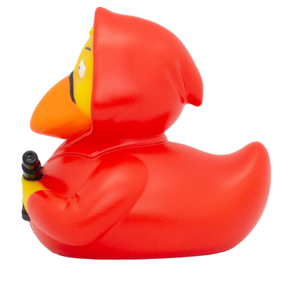 Red Bill Duck