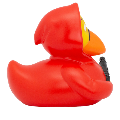 Red Bill Duck