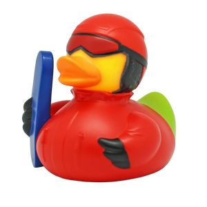 Pato a praticar snowboard