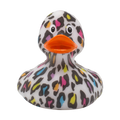Pato leopardo salvaje