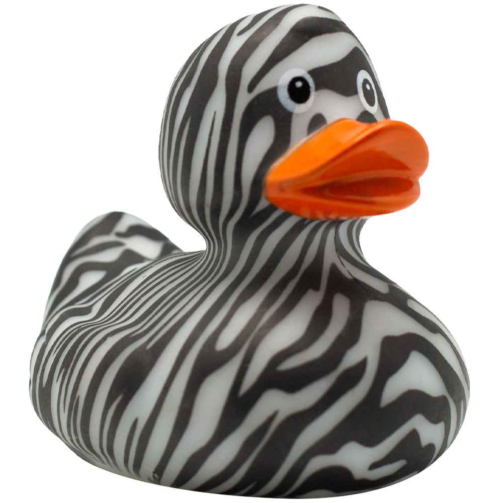 Canard Zèbre Sauvage