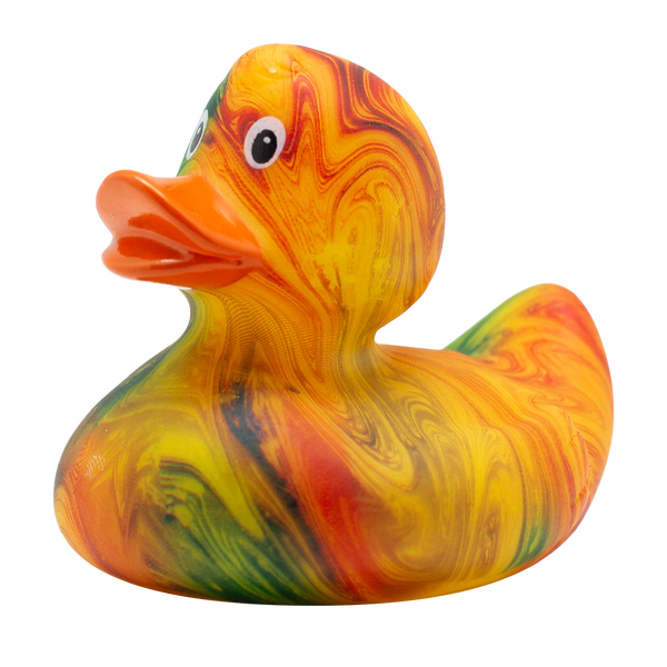 Anatra fluida