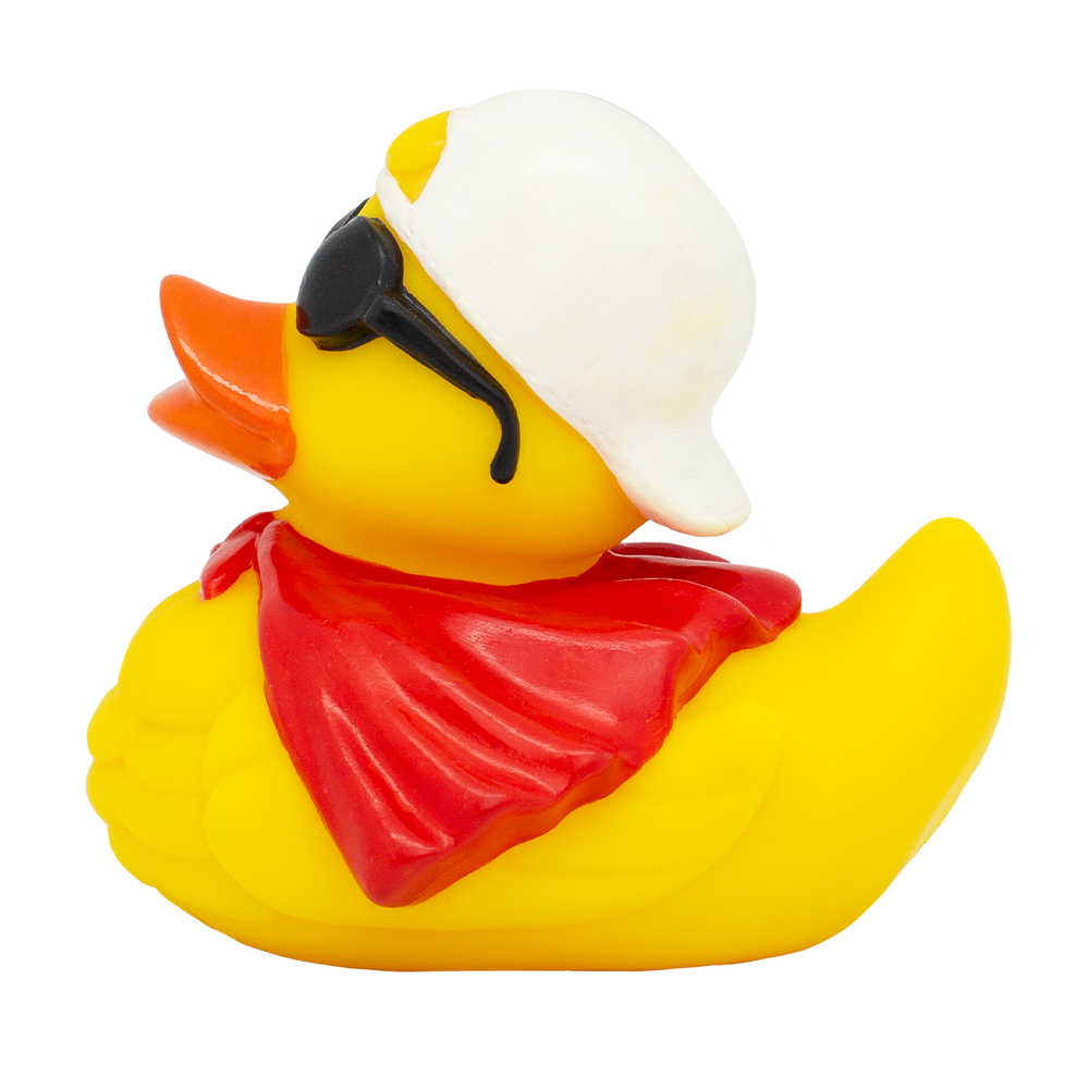 Anatra Super