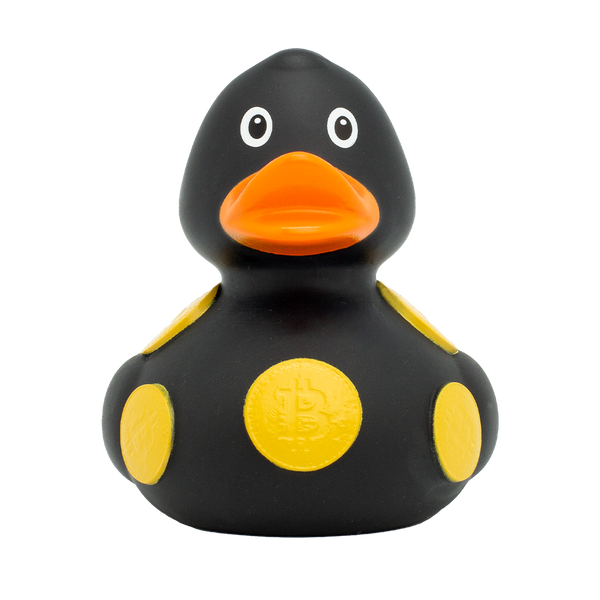 Canard Crypto Lilalu - vue 1