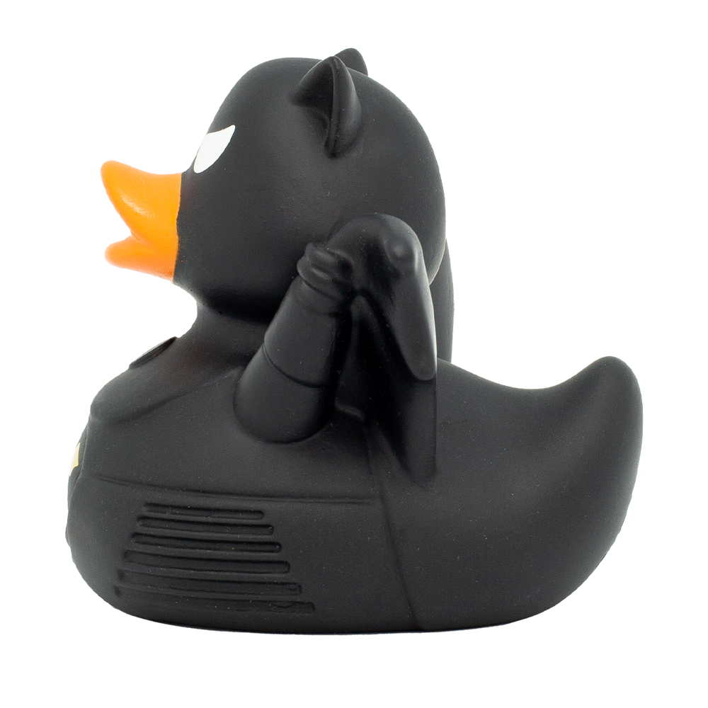 Eend Dark Wing