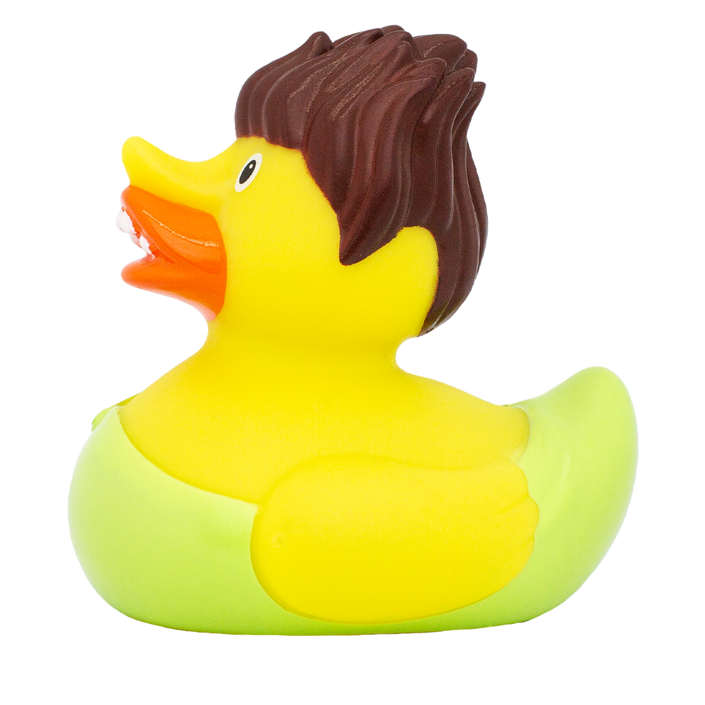 Canard Troll