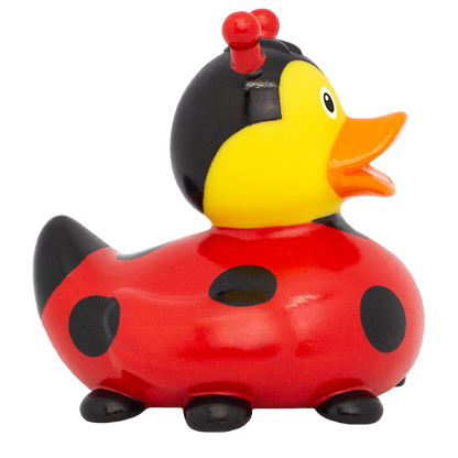 Canard Coccinelle Nouvelle Version Lilalu - vue 5