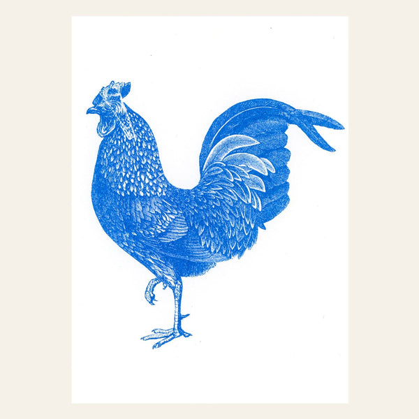 Cartolina del Gallo Blu