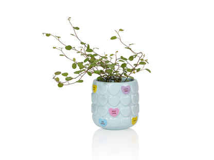 Sweet Heart Cup Blue