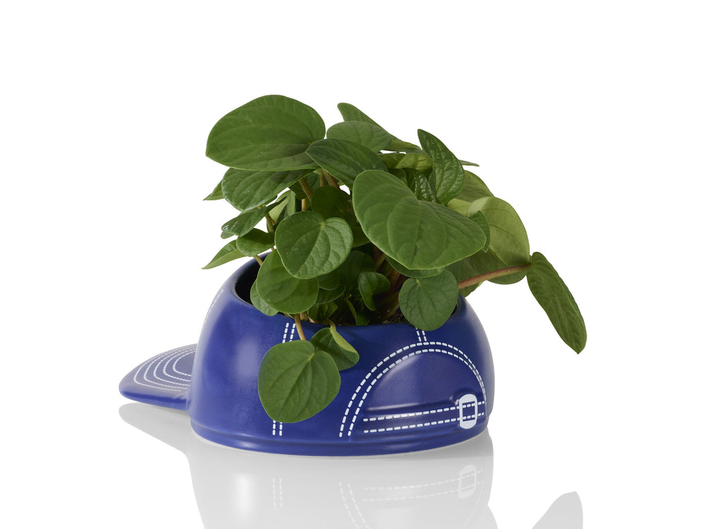 Bol Casquette de Baseball "BaseBowl Cap"