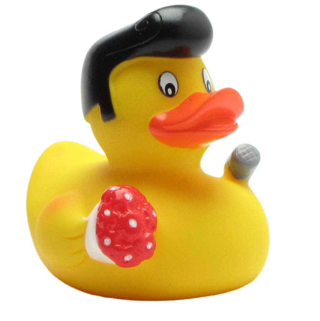 Rock'n'roll Duck