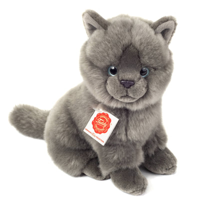 Peluche de gatito Chartreux sentado