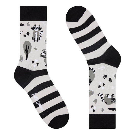 Chaussettes Ratons laveurs