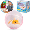 Animigos Hamster Coureur Interactif