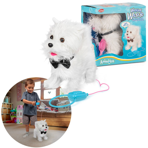 ANIMIGOS PROMENANT UN CHIEN WESTIE