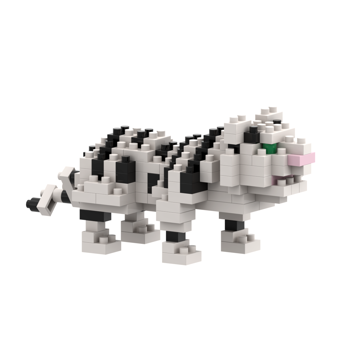 BRIXIES Tigre Blanc