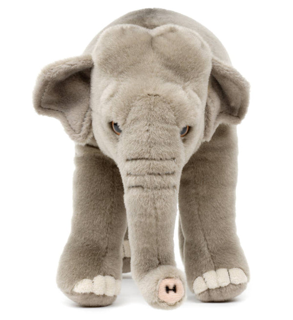 Peluche Éléphant Debout Uni Toys