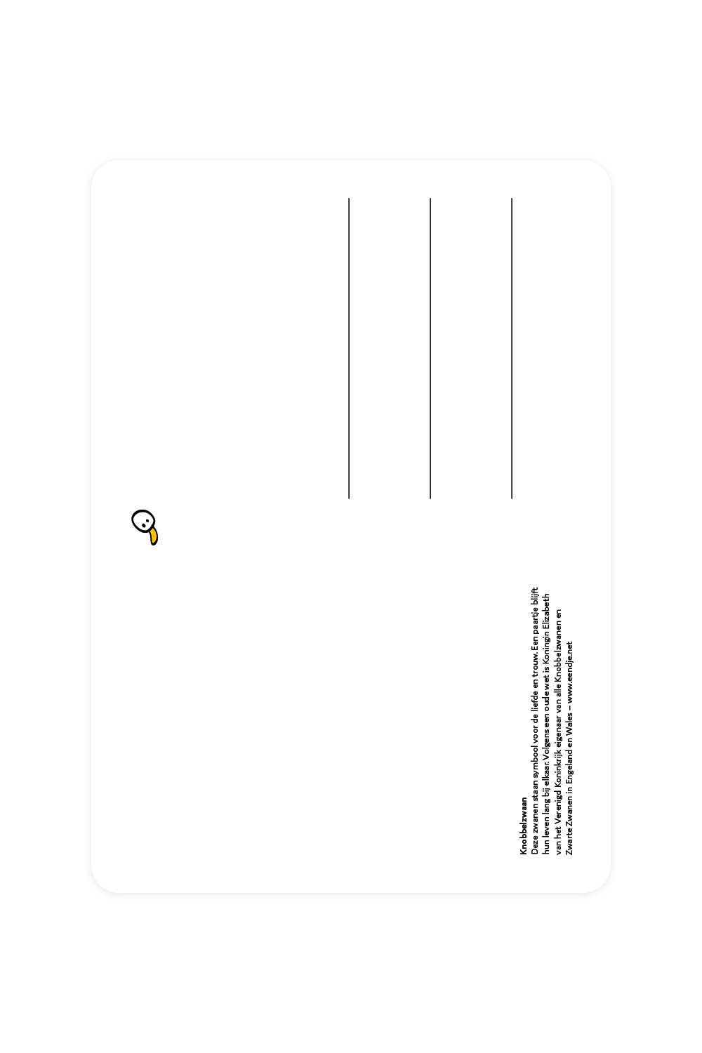 Carte postale avec cygne muet