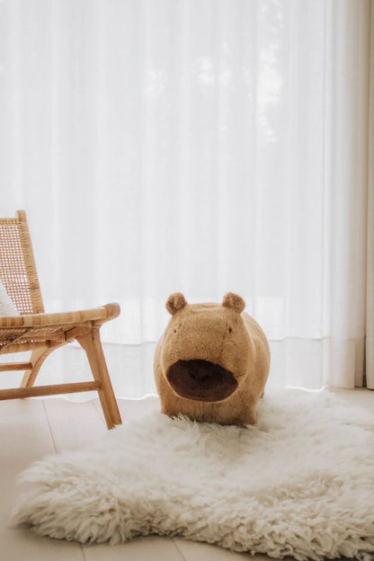 Capybara douce et rebondissante