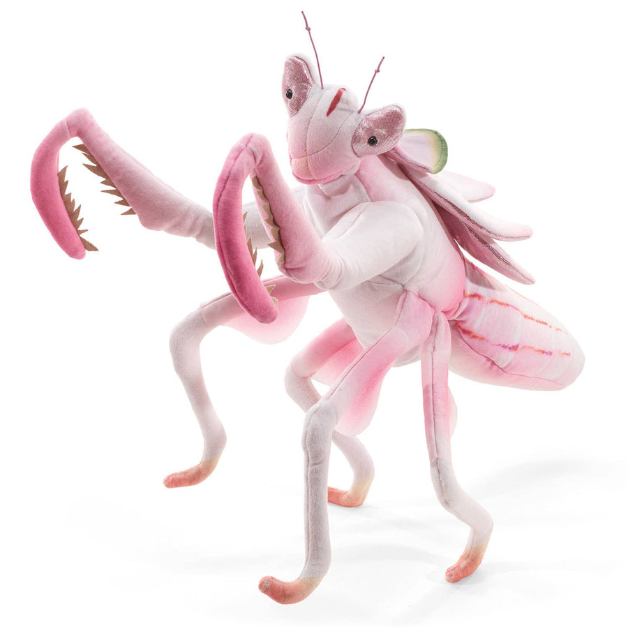 Mantis orquídea