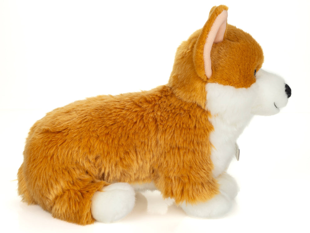 Peluche Corgi