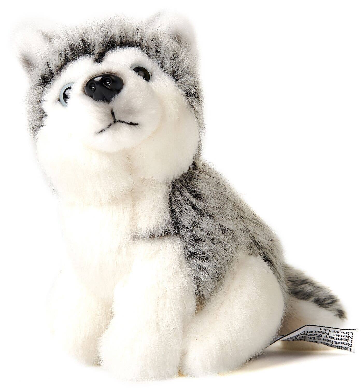 Pluche husky, zittend