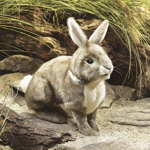 Marionnette à Main Lapin d'Amérique