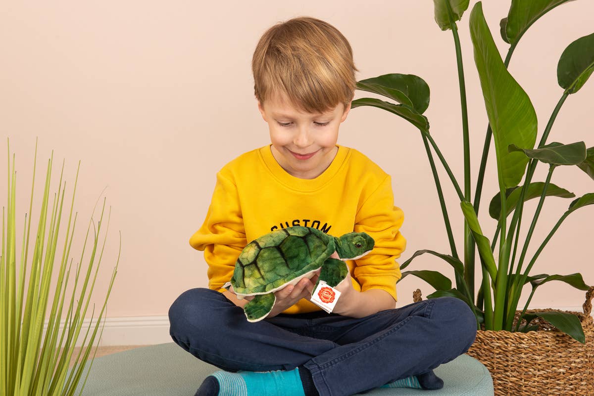 Peluche tartaruga d'acqua