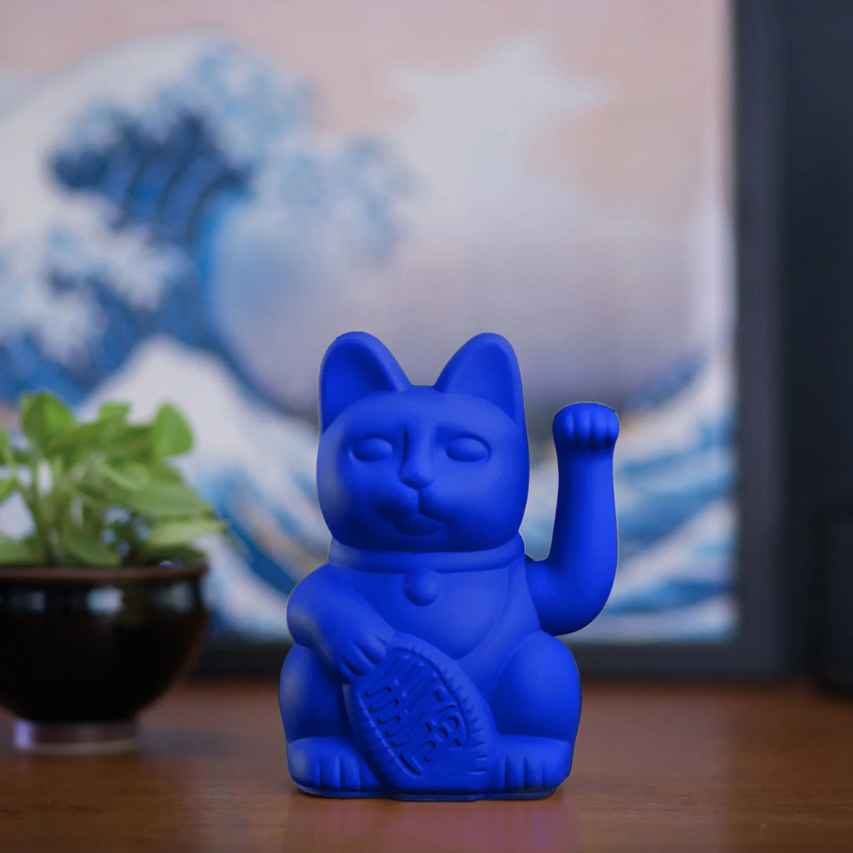 Gato da Sorte Azul Real