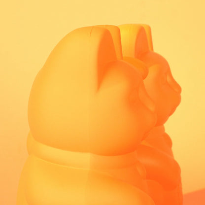 Chat Chanceux Pêche - le Chat Chanceux