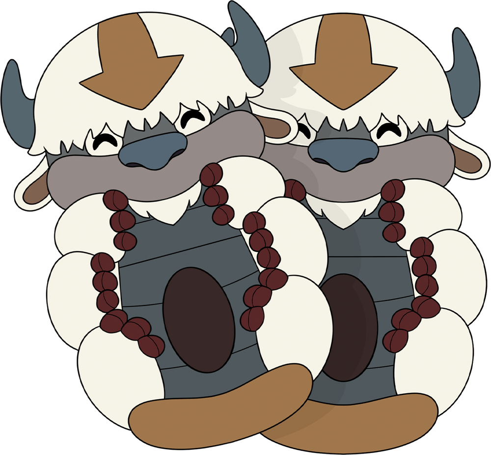 Appa Slippers