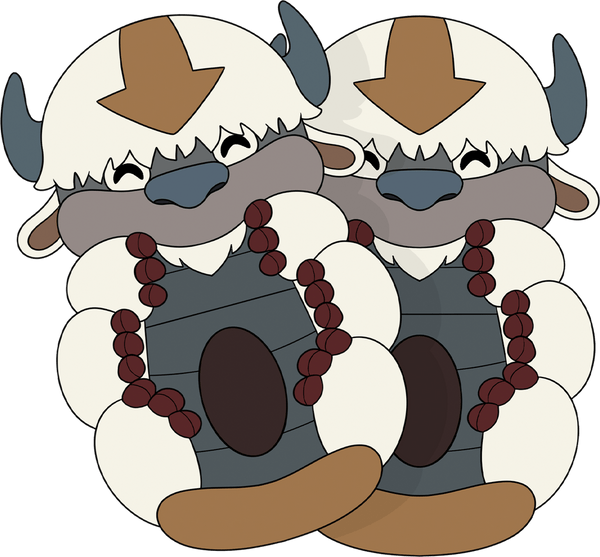 Appa Slippers
