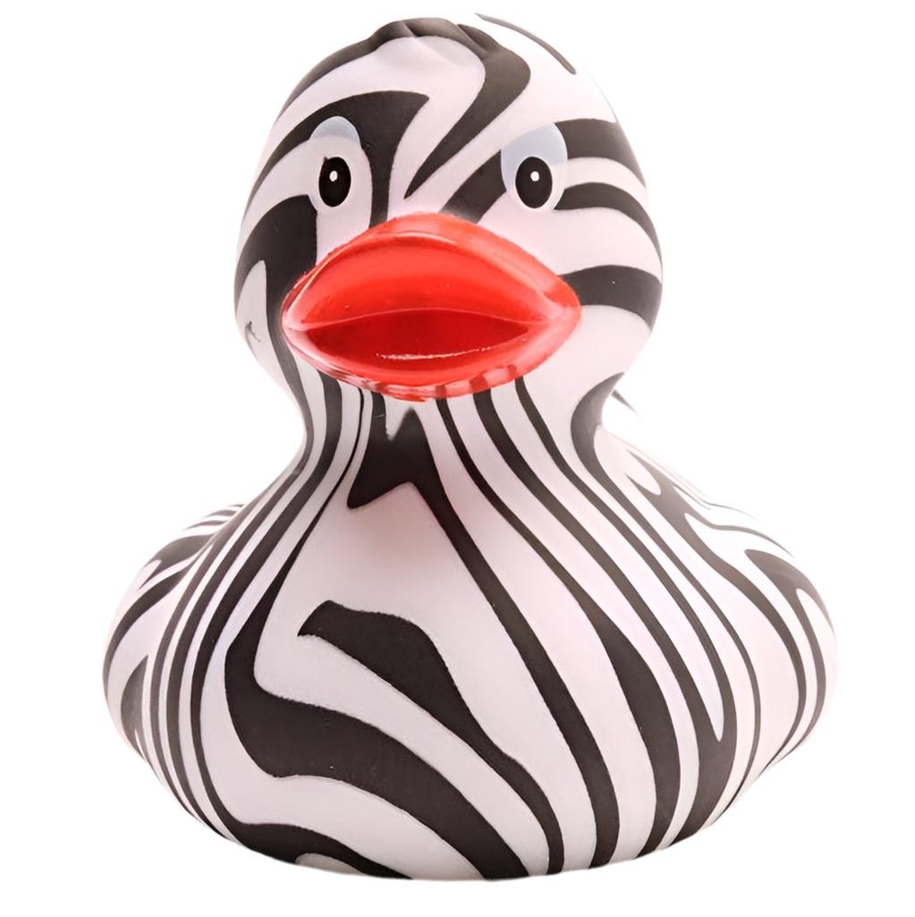 Pato cebra