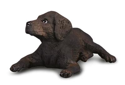Cachorro labrador - (S)