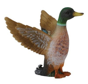 Figura Canard Colvert Mâle - (S)