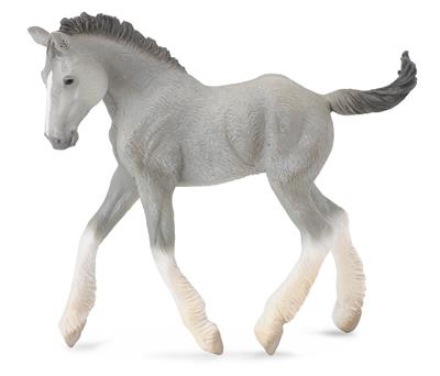 Figurine Poulain Shire Horse Gris - (M)