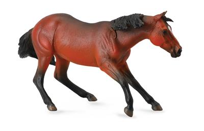 Figurine Étalon Quarter Horse Bai - (XL)