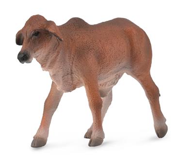 Vitello Brahman Rosso - (S)