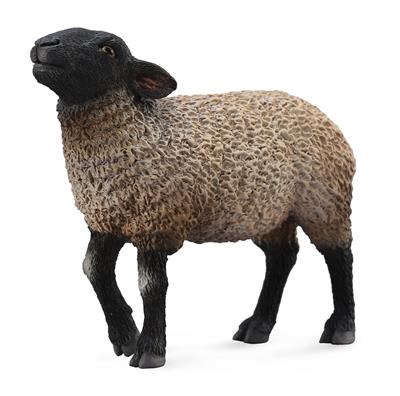 Figurine Mouton Suffolk - (M)