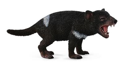 Diavolo della Tasmania - (M)