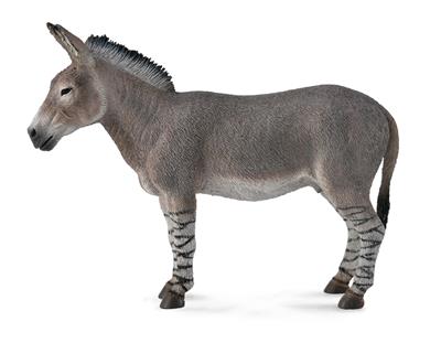 Burro Salvaje Africano - (L)