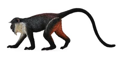 Cercopithèque Diane