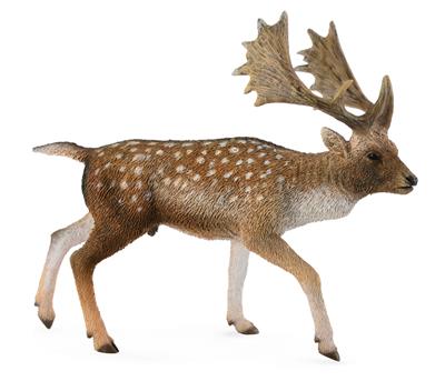 Veado-gamo - (E)