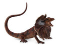 Figure Lézard à Collerette - (L)