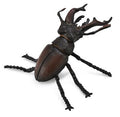 Figura Lucanidae - Coléoptère - (M)