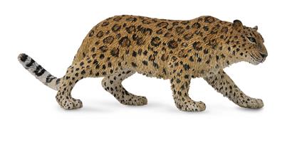 Collecta Animaux sauvages (XL): LÉOPARD DE L'AMOUR 13.5x5cm